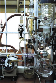 labor.jpg (52841 Byte)