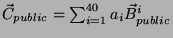 $ \vec{C}_{public}=\sum_{i=1}^{40} a_i \vec{B}_{public}^i$